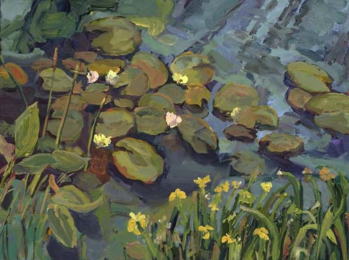 Lily Pond with Yellow Iris