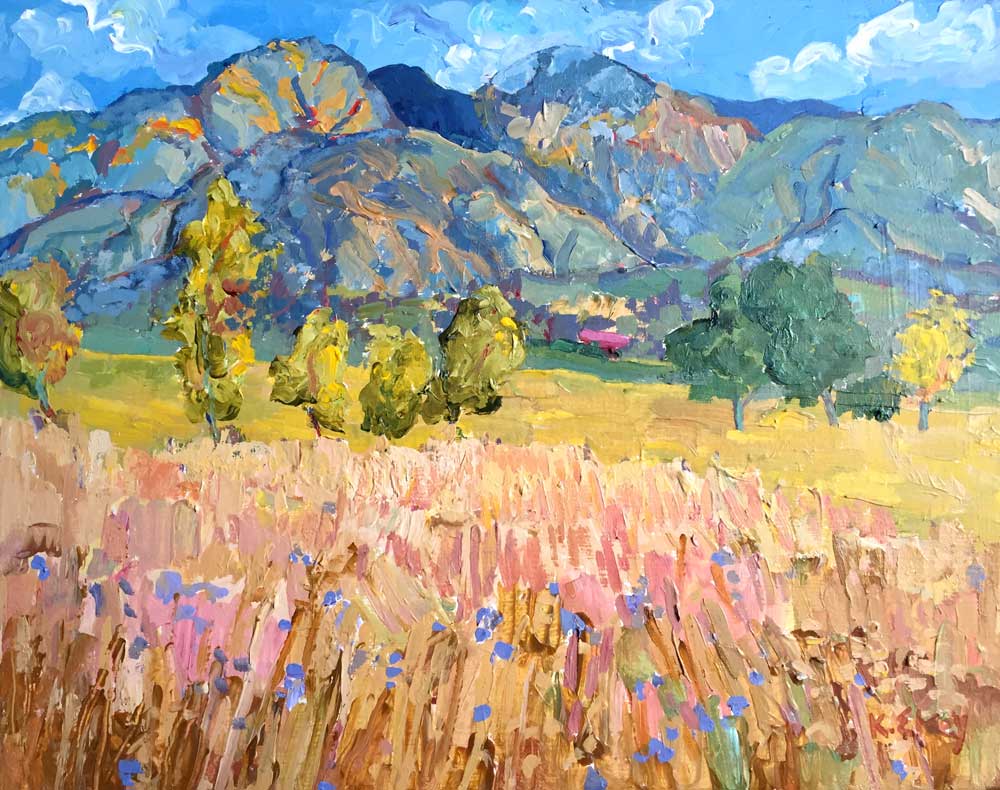 Taos Mountain Meadow