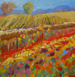 Flower Farm with Blue Mountains