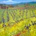 Old Vineyard with Mustard