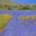 Sea of lavender