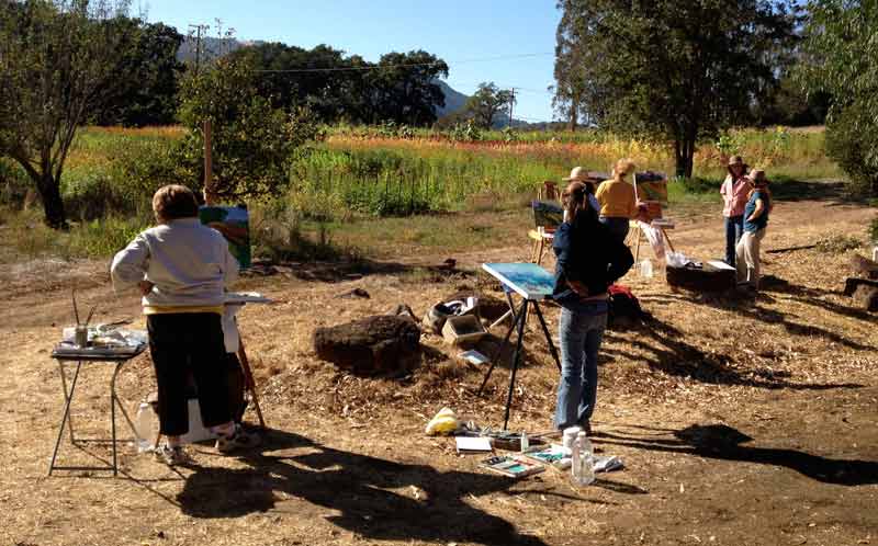 Sonoma Painting Workshop Oak Hill Farm